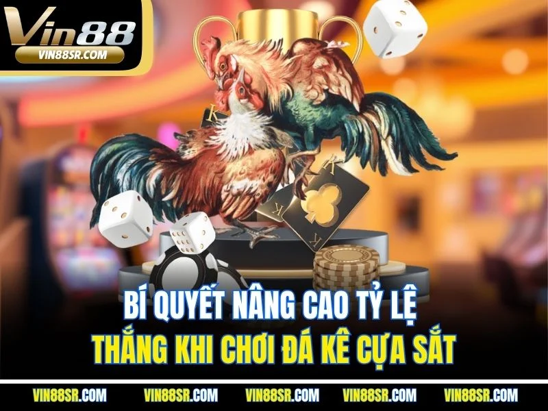 Bí quyết nâng cao tỷ lệ thắng khi chơi đá kê cựa sắt