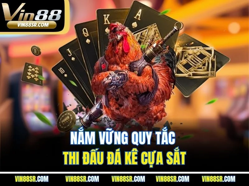 Nắm vững quy tắc thi đấu đá kê cựa sắt